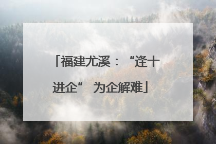 福建尤溪：“逢十进企” 为企解难