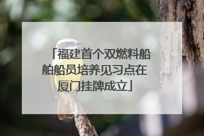 福建首个双燃料船舶船员培养见习点在厦门挂牌成立