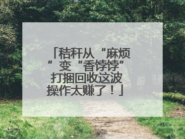 秸秆从“麻烦”变“香饽饽” 打捆回收这波操作太赚了！