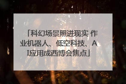 科幻场景照进现实 作业机器人、低空科技、AI应用成西博会焦点