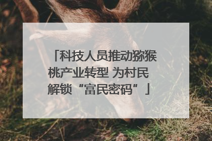 科技人员推动猕猴桃产业转型 为村民解锁“富民密码”