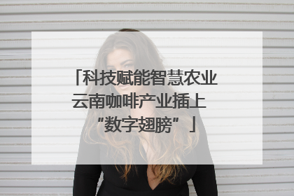 科技赋能智慧农业 云南咖啡产业插上“数字翅膀”
