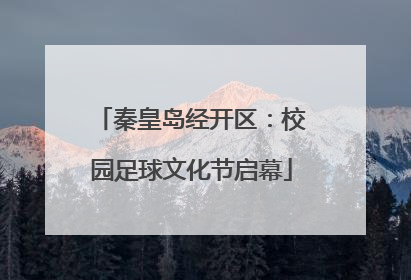 秦皇岛经开区：校园足球文化节启幕