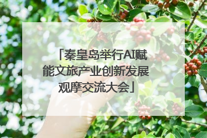 秦皇岛举行AI赋能文旅产业创新发展观摩交流大会