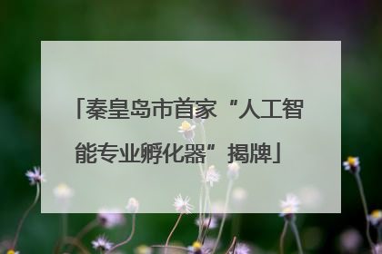 秦皇岛市首家“人工智能专业孵化器”揭牌