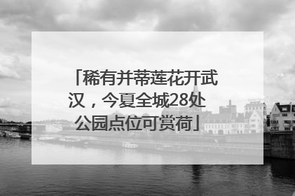 稀有并蒂莲花开武汉，今夏全城28处公园点位可赏荷