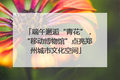 端午邂逅“青花”，“移动博物馆”点亮郑州城市文化空间