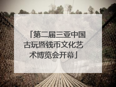 第二届三亚中国古玩暨钱币文化艺术博览会开幕