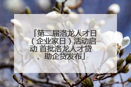 第二届洛龙人才日（企业家日）活动启动 首批洛龙人才贷、助企贷发布