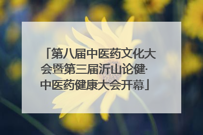 第八届中医药文化大会暨第三届沂山论健·中医药健康大会开幕