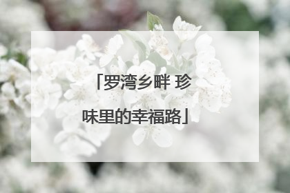 罗湾乡畔 珍味里的幸福路