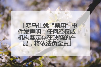 罗马仕就“禁用”事件发声明：任何经权威机构鉴定存在缺陷的产品，将依法负全责