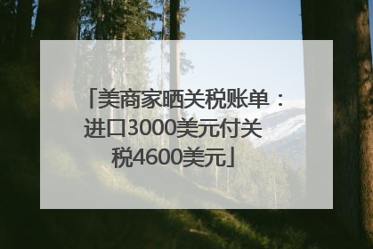 美商家晒关税账单：进口3000美元付关税4600美元