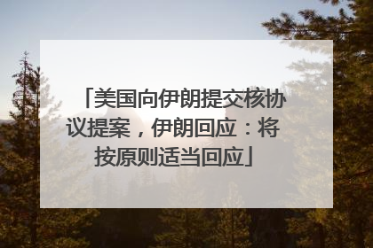 美国向伊朗提交核协议提案，伊朗回应：将按原则适当回应