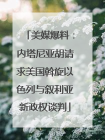 美媒爆料：内塔尼亚胡请求美国斡旋以色列与叙利亚新政权谈判