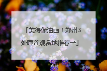 美得像油画！郑州3处睡莲观赏地推荐→