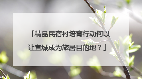 精品民宿村培育行动何以让宣城成为旅居目的地？