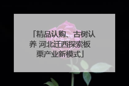 精品认购、古树认养 河北迁西探索板栗产业新模式