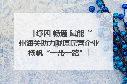 纾困 畅通 赋能 兰州海关助力陇原民营企业扬帆“一带一路”