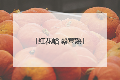 红花峪 桑葚熟