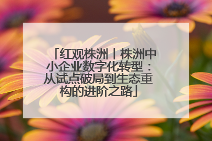 红观株洲丨株洲中小企业数字化转型：从试点破局到生态重构的进阶之路