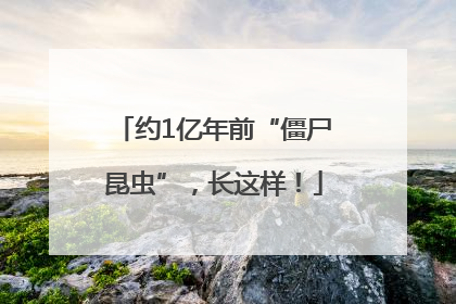 约1亿年前“僵尸昆虫”，长这样！