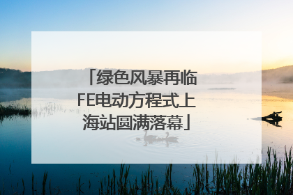绿色风暴再临 FE电动方程式上海站圆满落幕
