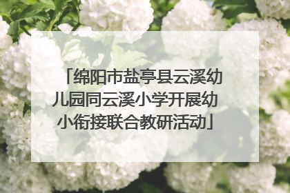 绵阳市盐亭县云溪幼儿园同云溪小学开展幼小衔接联合教研活动