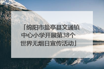 绵阳市盐亭县文通镇中心小学开展第38个世界无烟日宣传活动