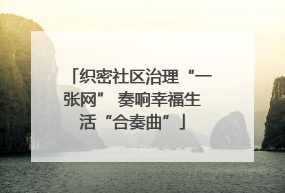织密社区治理“一张网” 奏响幸福生活“合奏曲”