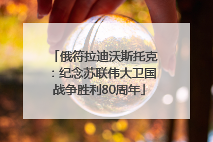 俄符拉迪沃斯托克：纪念苏联伟大卫国战争胜利80周年