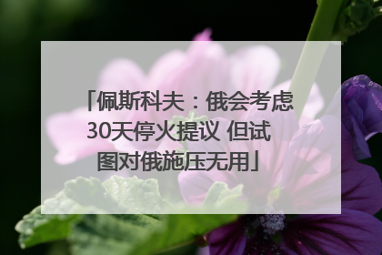 佩斯科夫：俄会考虑30天停火提议 但试图对俄施压无用