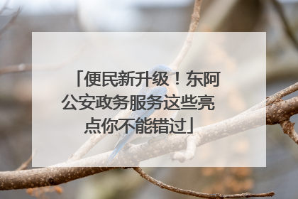 便民新升级！东阿公安政务服务这些亮点你不能错过