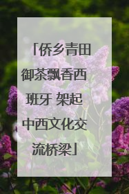 侨乡青田御茶飘香西班牙 架起中西文化交流桥梁