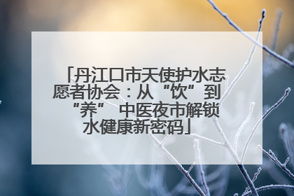 丹江口市天使护水志愿者协会：从“饮”到“养” 中医夜市解锁水健康新密码