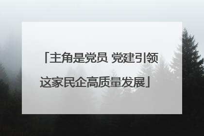 主角是党员 党建引领这家民企高质量发展