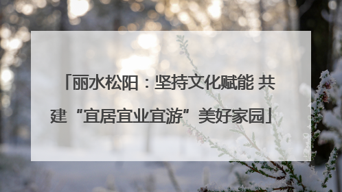 丽水松阳：坚持文化赋能 共建“宜居宜业宜游”美好家园