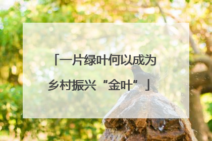 一片绿叶何以成为乡村振兴“金叶”