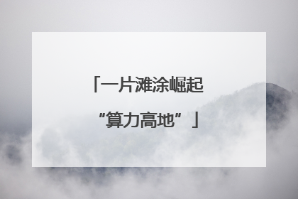 一片滩涂崛起“算力高地”