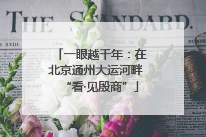 一眼越千年：在北京通州大运河畔“看·见殷商”