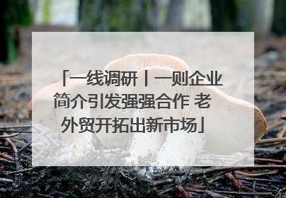 一线调研丨一则企业简介引发强强合作 老外贸开拓出新市场
