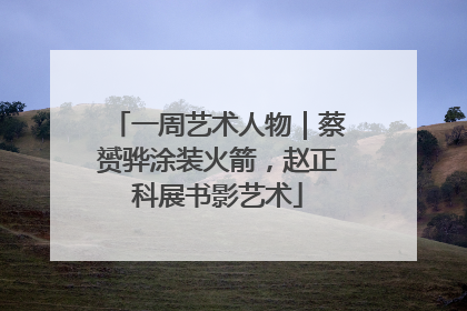 一周艺术人物｜蔡赟骅涂装火箭，赵正科展书影艺术