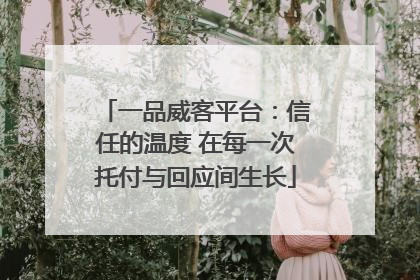一品威客平台：信任的温度 在每一次托付与回应间生长