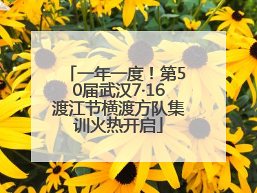 一年一度！第50届武汉7·16渡江节横渡方队集训火热开启