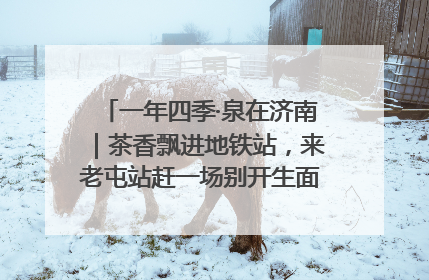 一年四季·泉在济南｜茶香飘进地铁站，来老屯站赶一场别开生面的“茶韵市集”！