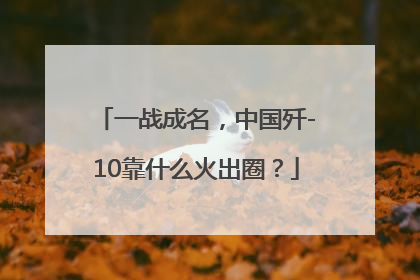 一战成名，中国歼-10靠什么火出圈？