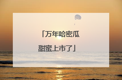万年哈密瓜甜蜜上市了