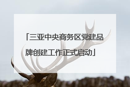 三亚中央商务区党建品牌创建工作正式启动