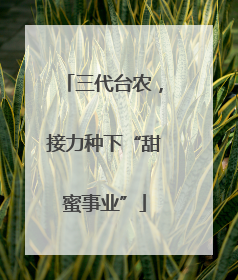 三代台农，接力种下“甜蜜事业”