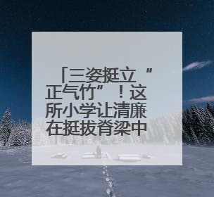 三姿挺立“正气竹”！这所小学让清廉在挺拔脊梁中生长